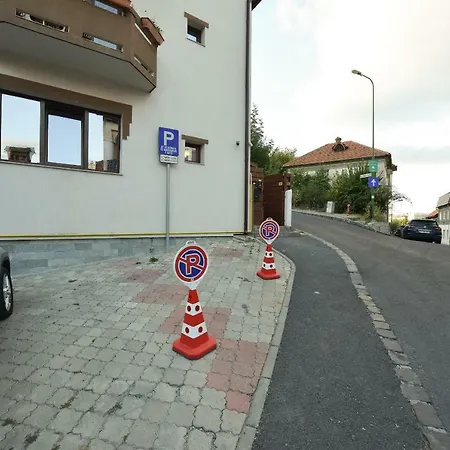 Buzoianu By Holztreppe *