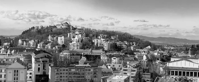 Apartment Buzoianu By Holztreppe *